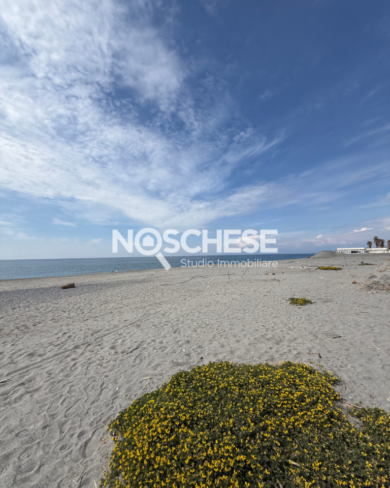 Santa Maria Del Cedro, In PARCO a pochi passi dal MARE, BILOCALE ARREDATO, 40mq ca + TERRAZZINO e POSTO AUTO.
